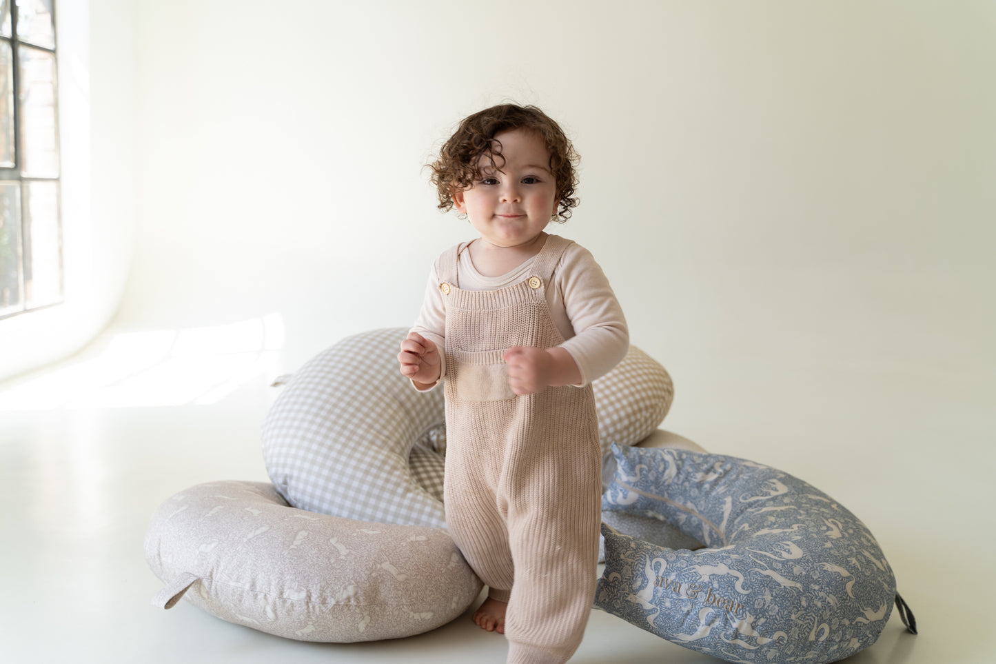 The Playful Fox Crescent Nursing Cushion